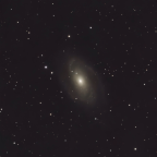 Messier M81