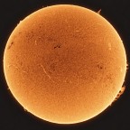 Ha-Sonne am 20/02/26