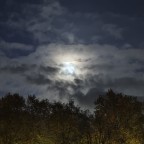 Stimmungsbild mit Mond am 02.11.25