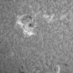 Weißlicht und Ha-Sonne 19.01.2026