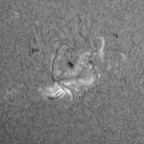 Weißlicht und Ha-Sonne 19.01.2026