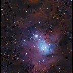 Weihnachtsbaum mit 10h aus der Großstadt