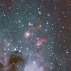 IC410 - Die Kaulquappen